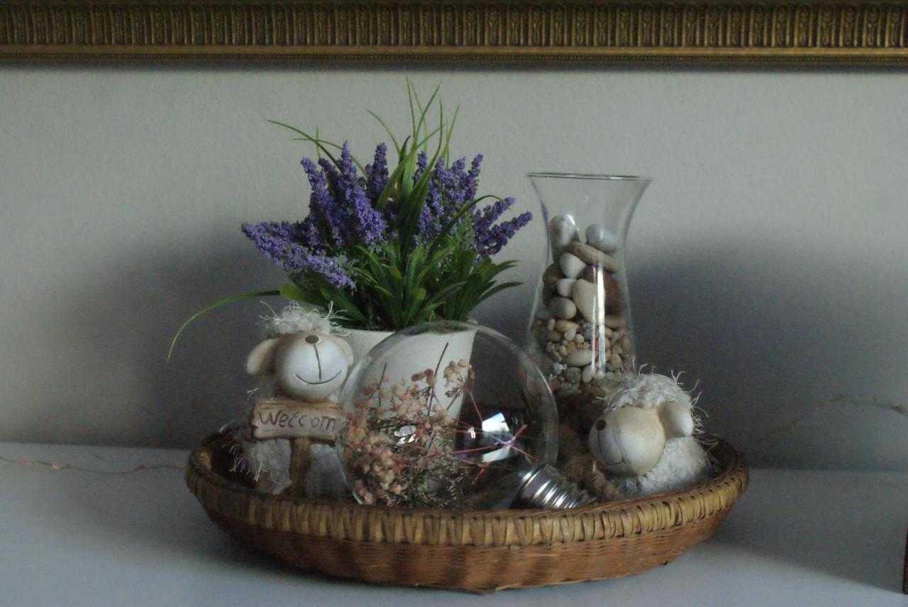 Ashtree Guesthouse Hanover Bagian luar foto