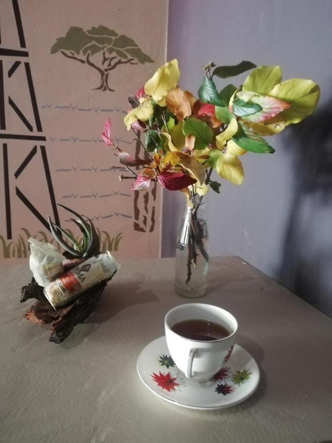 Ashtree Guesthouse Hanover Bagian luar foto