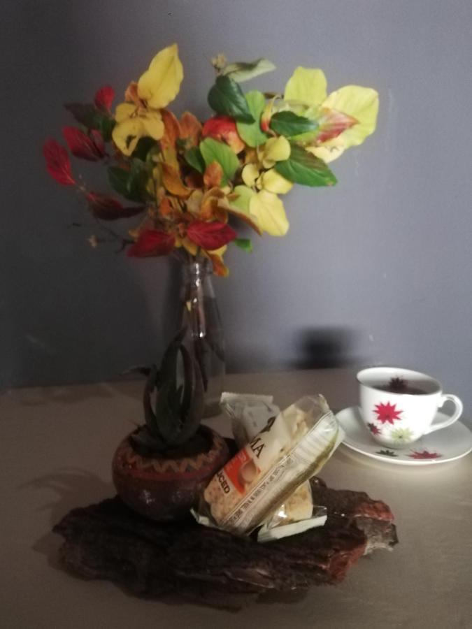 Ashtree Guesthouse Hanover Bagian luar foto